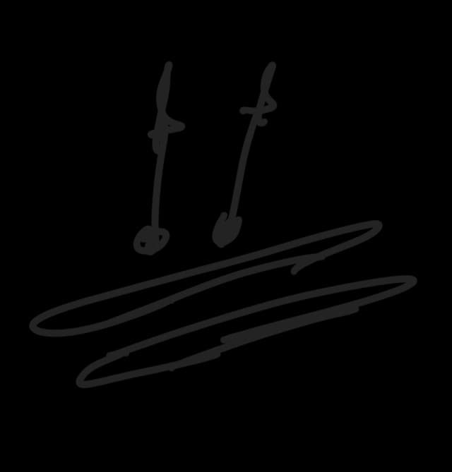 Skiing ⛷️